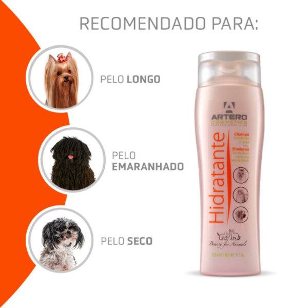 ARTERO Hidratante Shampoo 250ml - Image 2