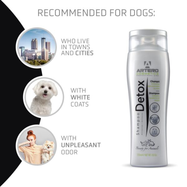 ARTERO Detox Shampoo 5000ml - Image 3