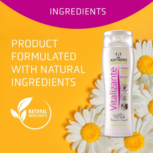 ARTERO Vitalizante Shampoo 5000ml - Image 2