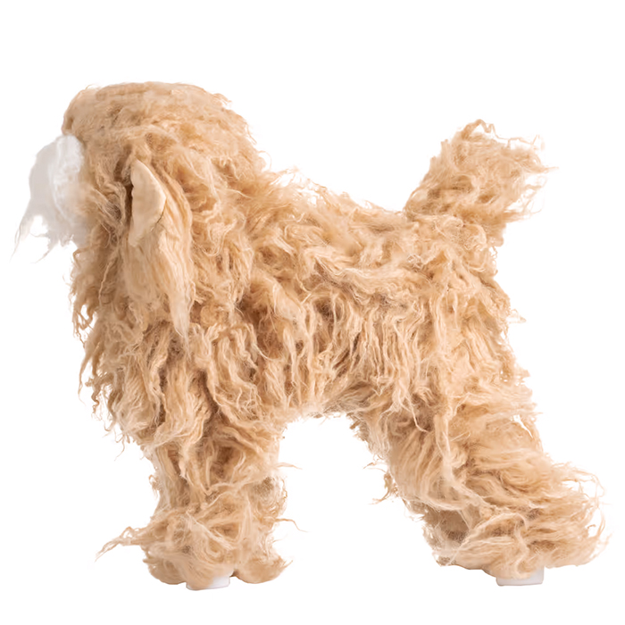 Mr. Jiang Pudel Ganzkörperhaar Lamm – Ersatzhaar Pudel-Pflegepuppe, Beige mit weißer Schnauze