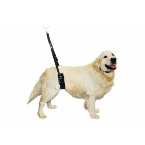 Show Tech Komfort-Bauchhalterung für große Hunde