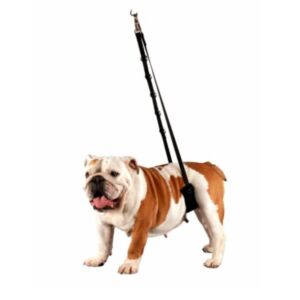 Show Tech Komfort-Bauchhalterung für kleine Hunde