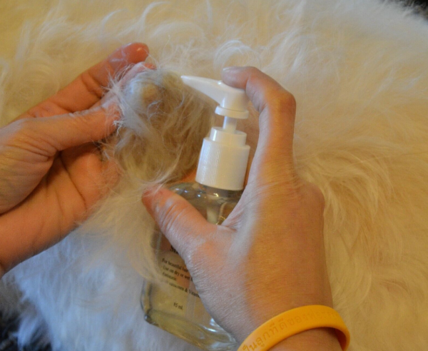 Doggy Dolly Silk Coat - Image 2