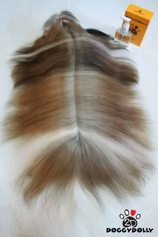 Doggy Dolly Silk Coat - Image 3