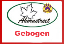 Hundescheren Gebogen
