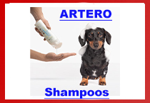 Artero Shampoos
