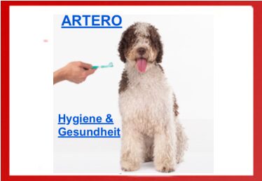 Artero Hygiene & Gesundheit