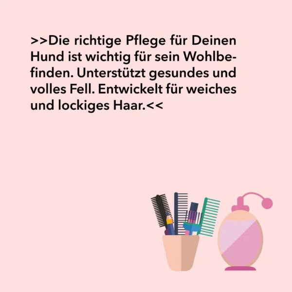 Hundeshampoo Easy Clean für alle Felltypen - Image 4