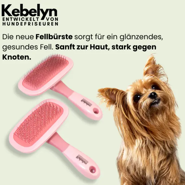 Fellbürste - für Hunde und Katzen geeignet - Image 2