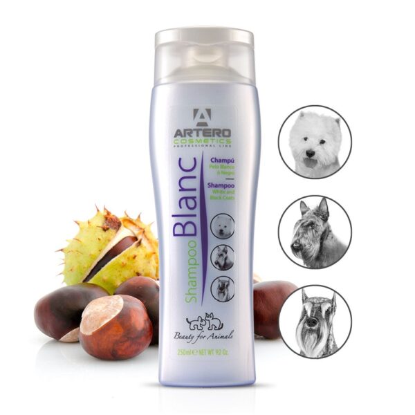 ARTERO Blanc Shampoo 250ml - Image 6