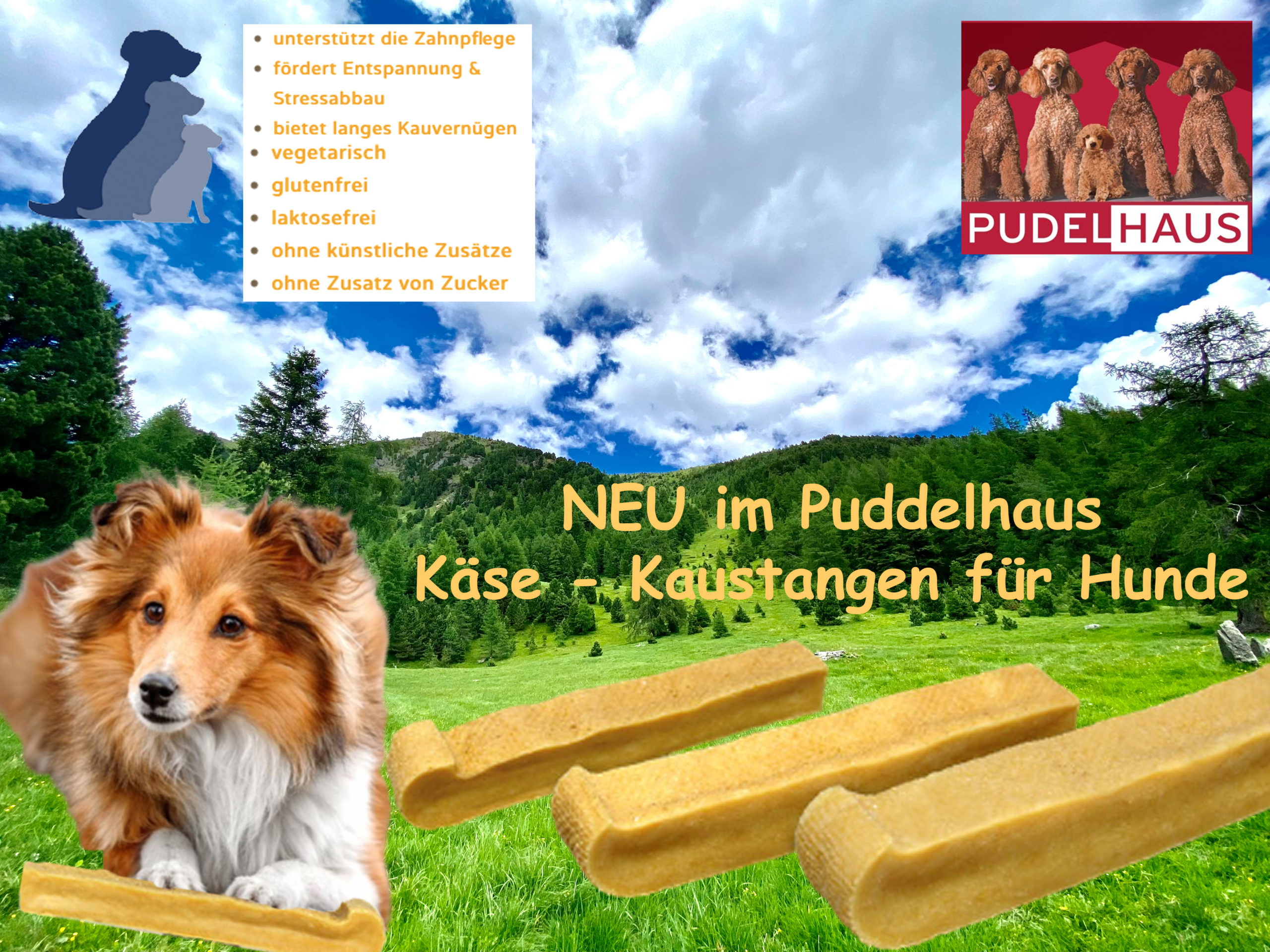 Käsestange / Kaustange für Hunde 60 69 g Pudelhaus