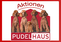 Aktionen
