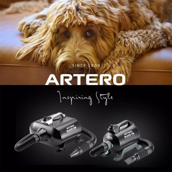 Artero Black mit 1 Motor 2600 Watt - Image 2