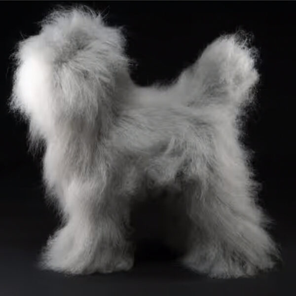 Mr. Jiang Pudel Ganzkörperhaar Lamm – Ersatzhaar Pudel-Pflegepuppe, grau mit weißer Schnauze - Image 2