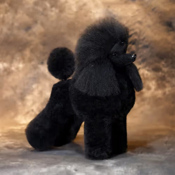 Mr. Jiang Pudel Ganzkörperhaar Lamm – Ersatzhaar Pudel-Pflegepuppe, schwarz - Image 4