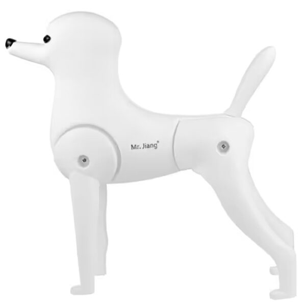 Mr. Jiang Modelhund Pudel