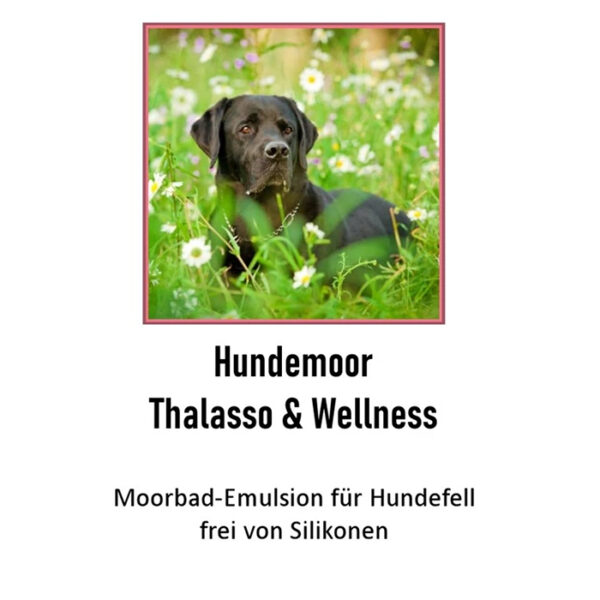 Moorbad-Emulsion zur Thalasso- und Wellnessbehandlung von Hundefell 3 Liter - Image 2