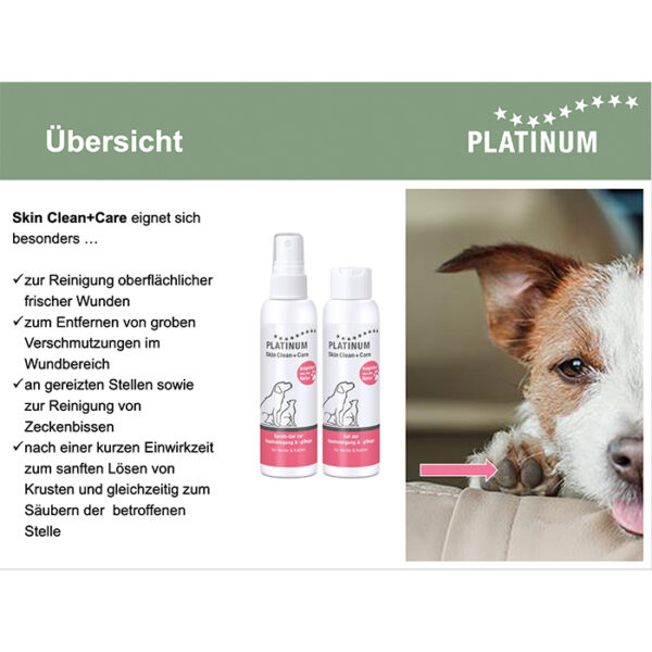 Platinum Skin Clean+Care - Image 2