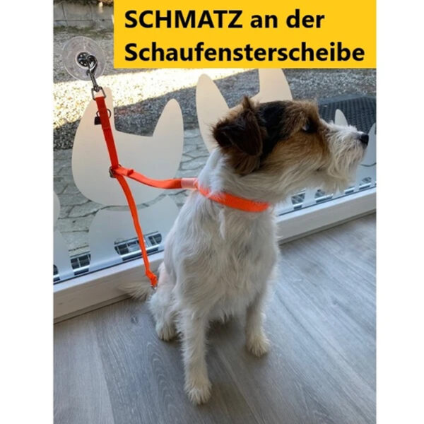 Saugnapf SCHMATZ AG138 - Image 5