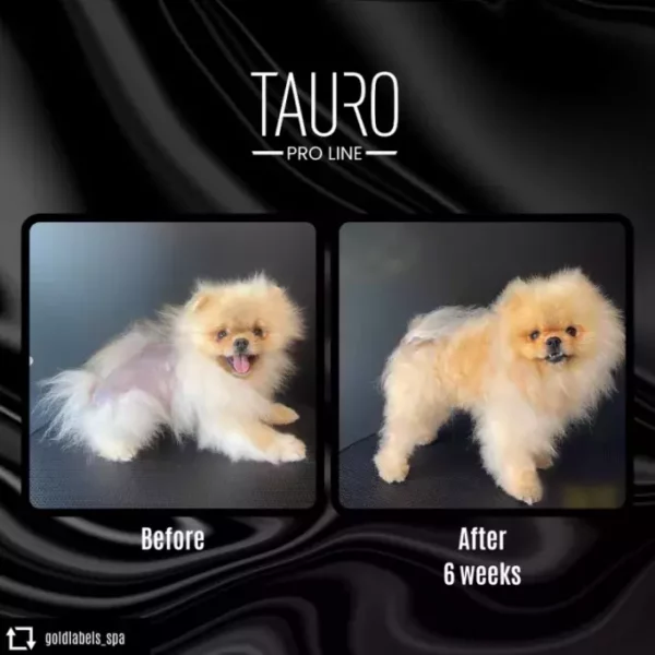 TAURO PRO LINE Pure Energizing Elixir No. 4 - Image 3