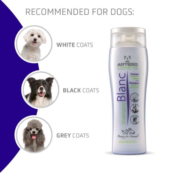 ARTERO Blanc Shampoo 250ml - Image 3